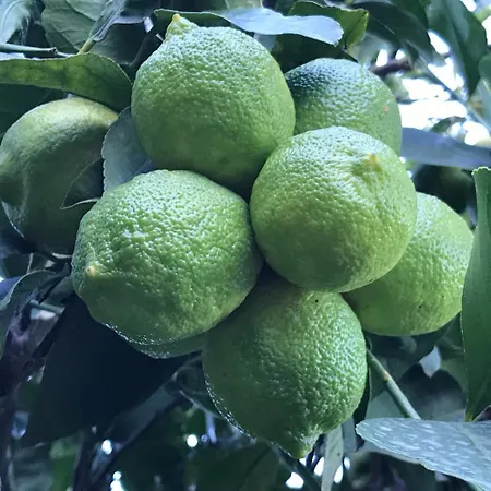 Bed & Breakfast Palazzo Giovanni Acireale