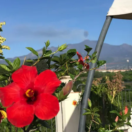 Bed & Breakfast Palazzo Giovanni 4*